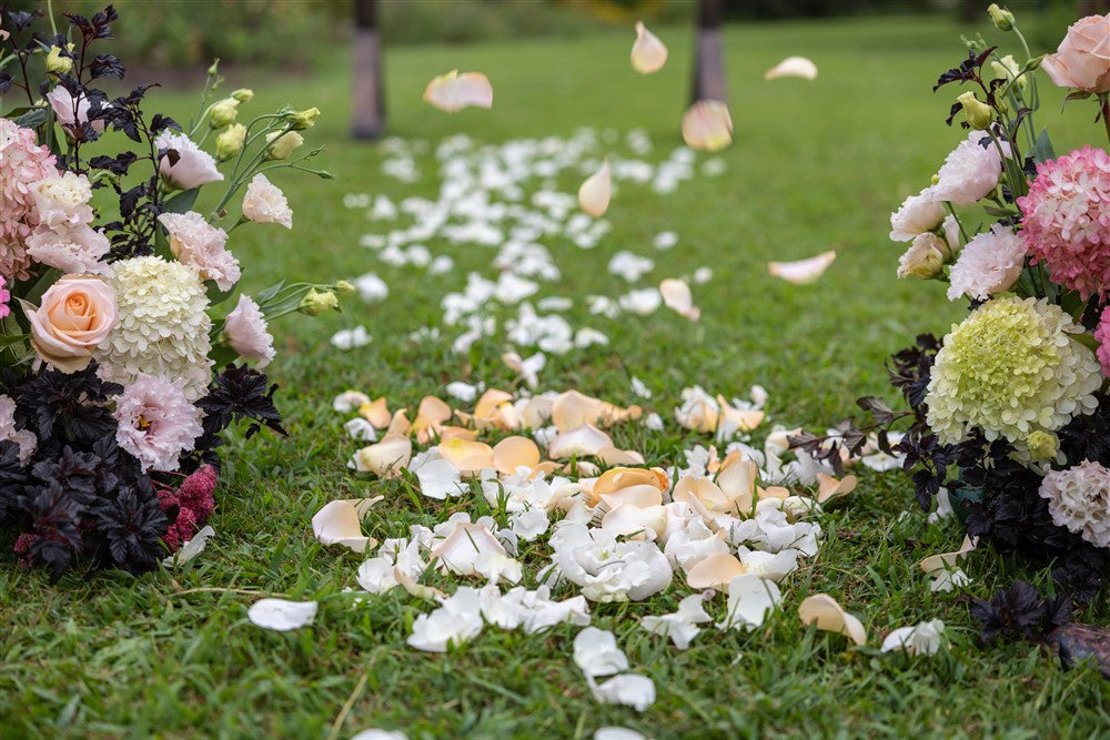 Rose Petals (Flower Girl)