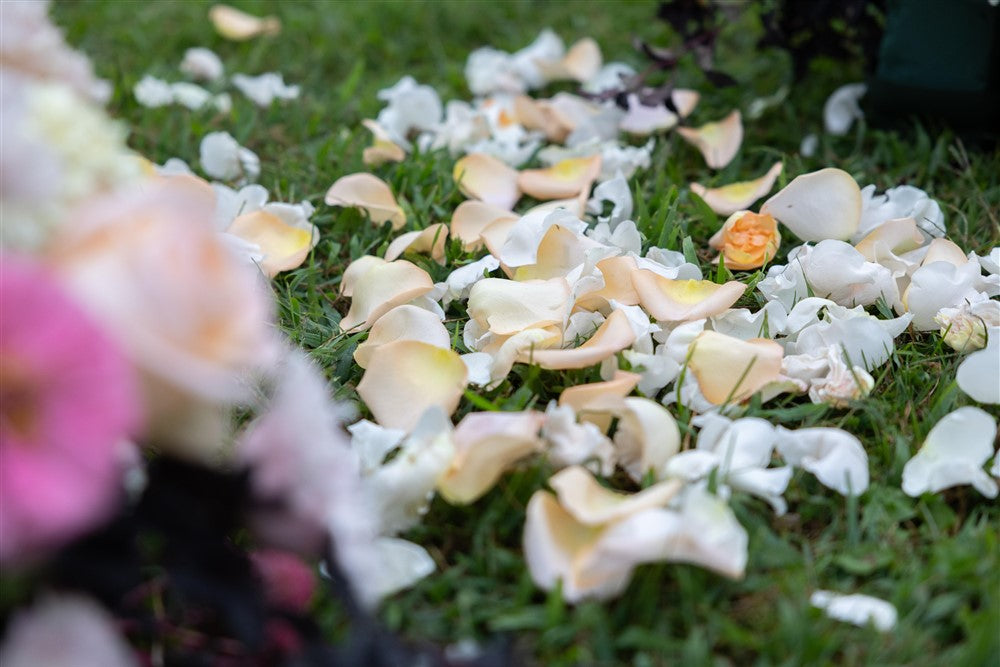 Rose Petals (Flower Girl)