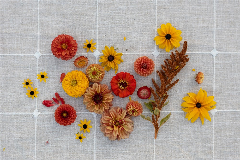 Coffee Mug Arrangement & Coffee Beans