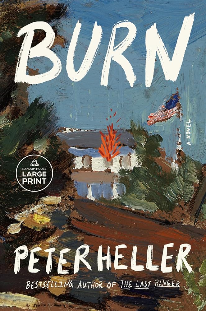 Burn: A novel cover image