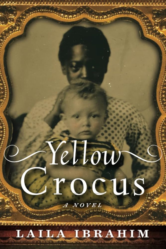 Yellow Crocus cover image