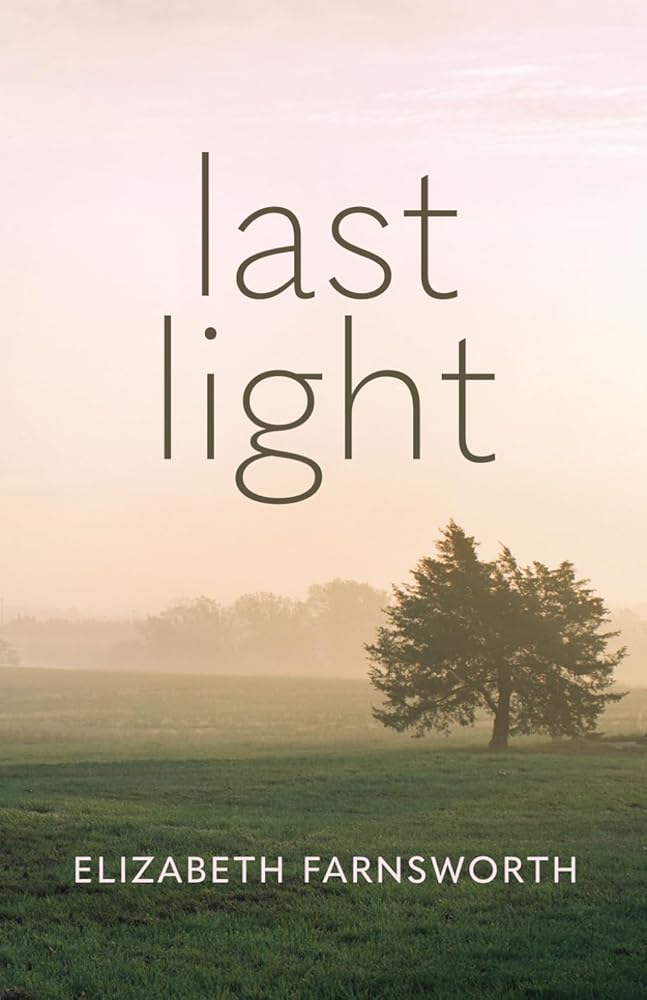Last Light cover image