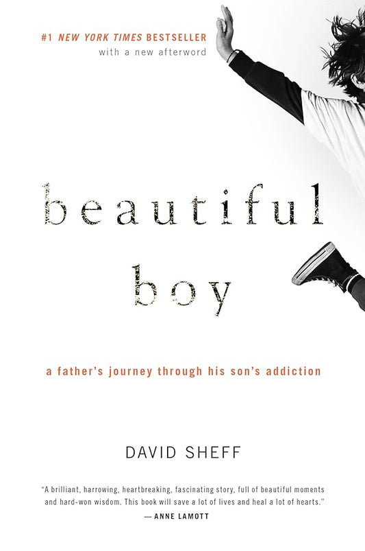 Beautiful Boy: A Father's Journey Through His Son's Addiction cover image