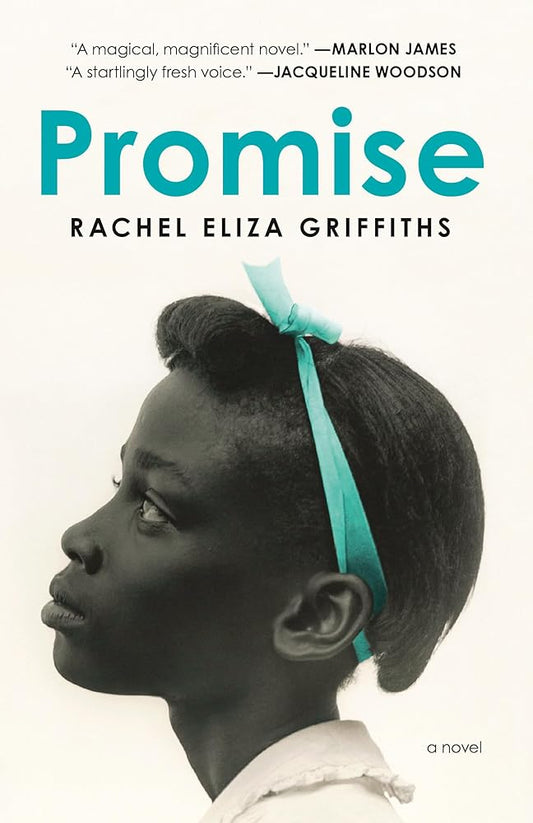 Promise: A Novel cover image