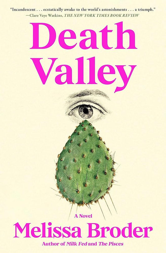 Death Valley: A Novel cover image