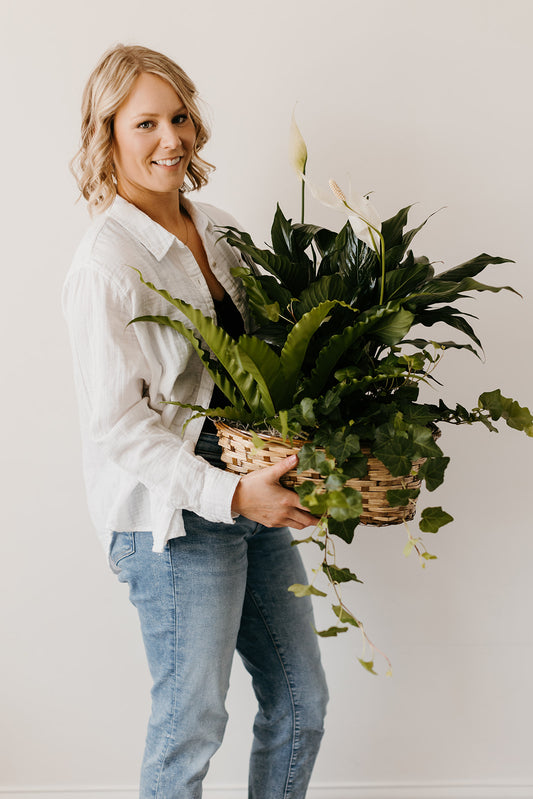 Triple Planter